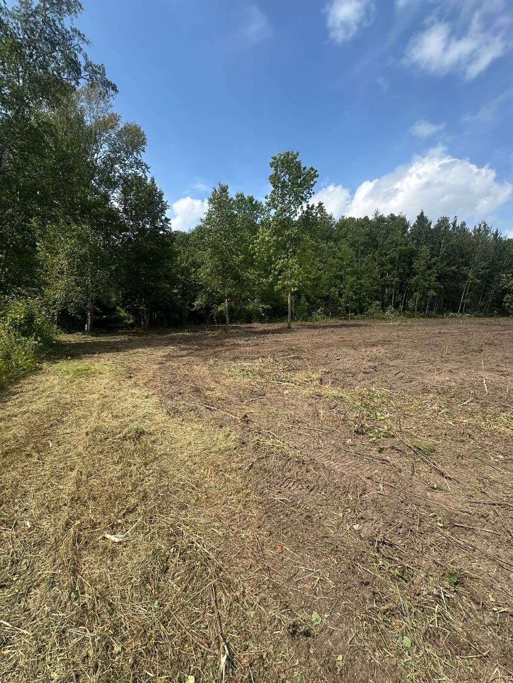 Cleared field with freshly cut grass and trees lining the edge under a blue sky.