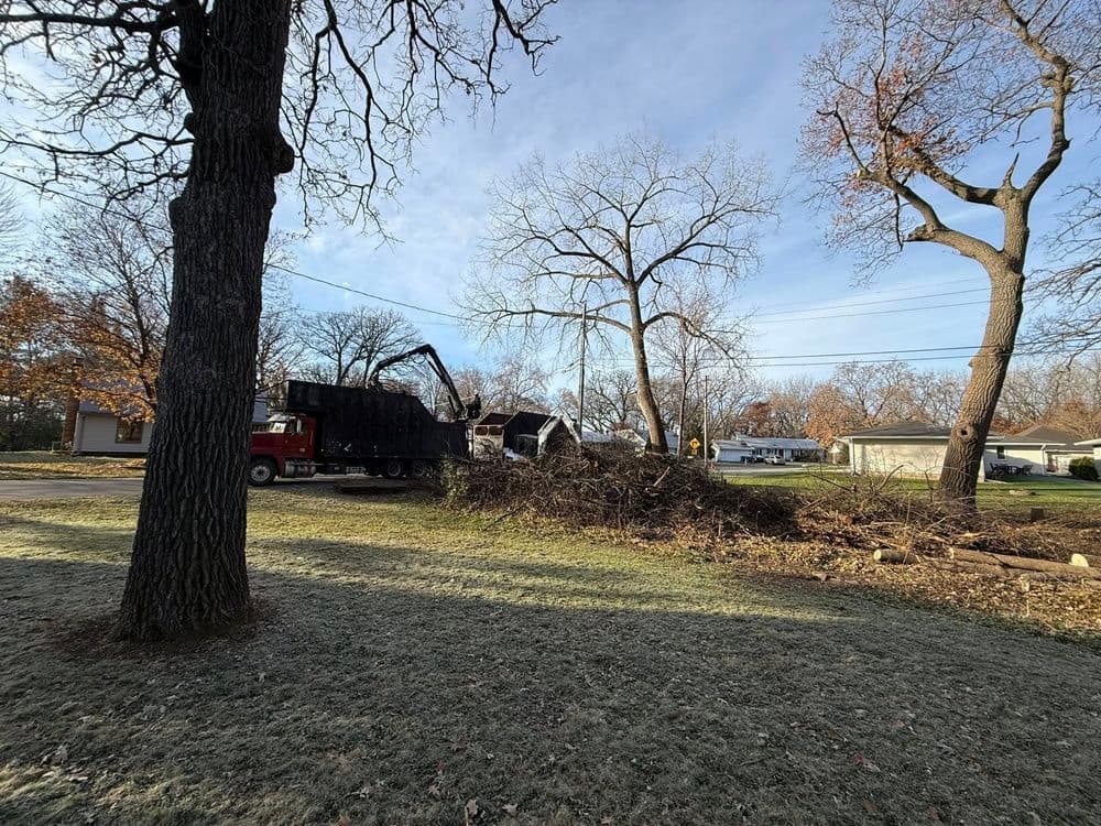 Truck clearing tree debris in residential area with bare trees and houses in the background.