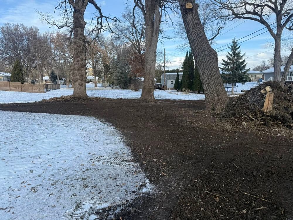 Cleared snowy park area with bare soil, trees, and brush pile in winter landscape.